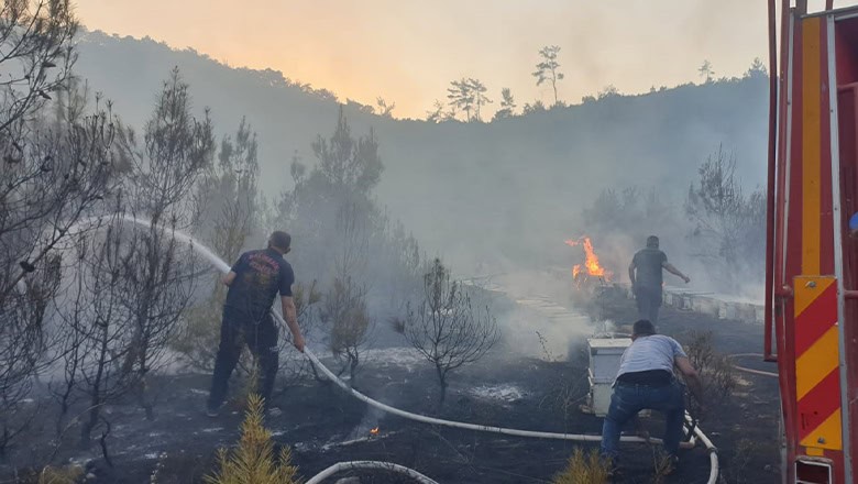 Balıkesir’de Orman Yangınları Tehlikesi Artıyor