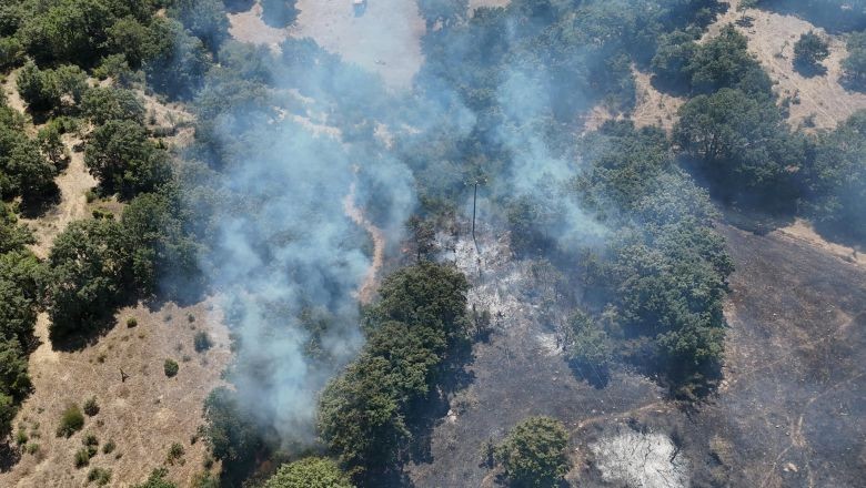 Balya'da Yangın! Başkan Gaga Son Durumu Paylaştı