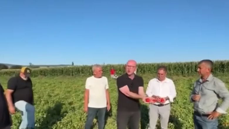 Domates Krizi! Serkan Sarı'dan Kritik Açıklama