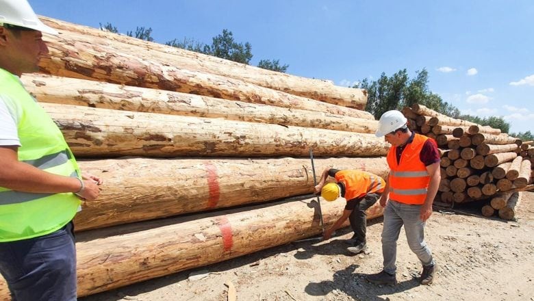 Orman Genel Müdürlüğü'nden Kalite Hamlesi