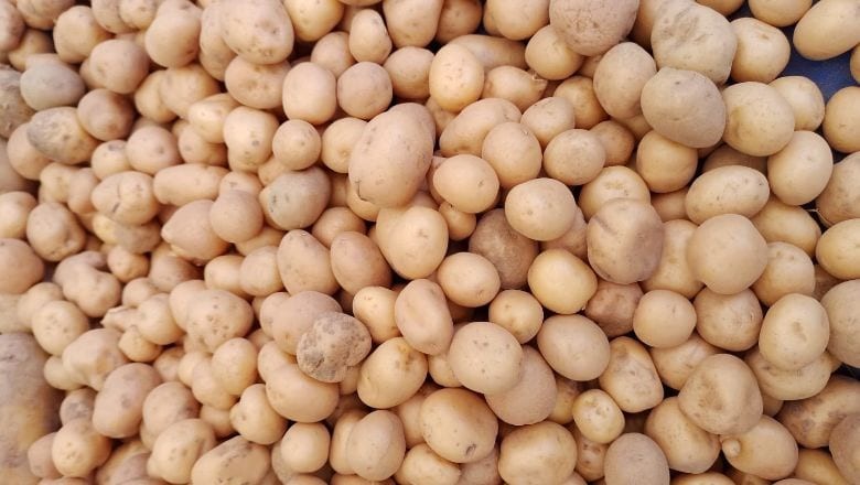 Balıkesirlilerden Lezziz Tarif: Baharatlı Bebek Patates