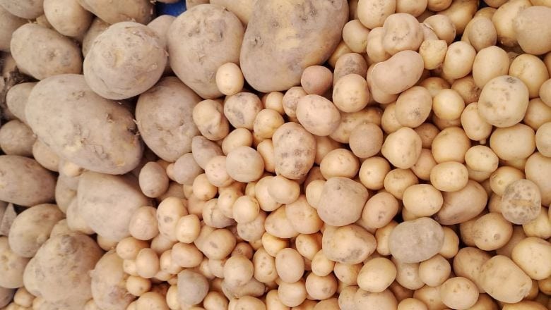 Balıkesirlilerden Lezziz Tarif: Baharatlı Bebek Patates