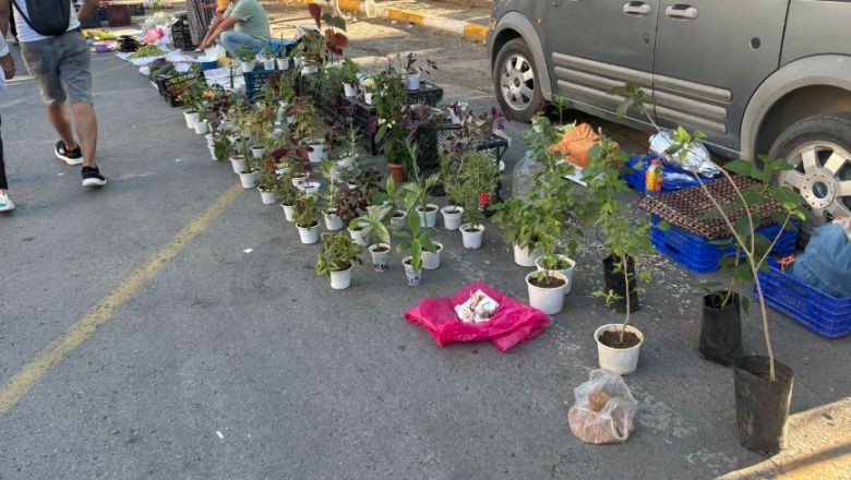 Damat Pijaması Balıkesir'de İlgi Odağı