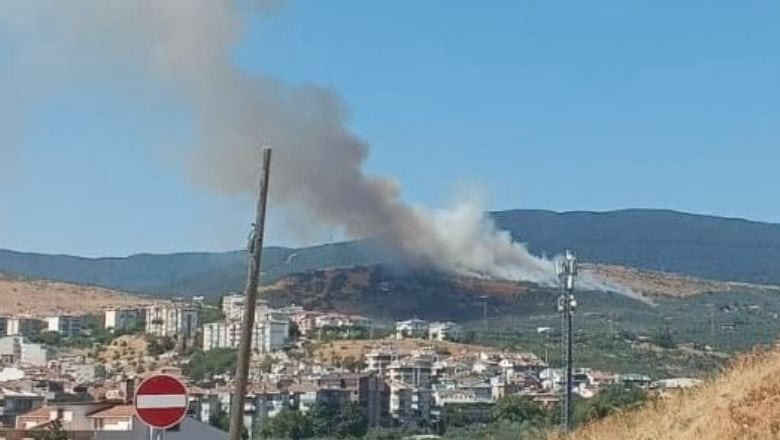 Balıkesir'de Orman Yangını Zeytinliklere Sıçradı