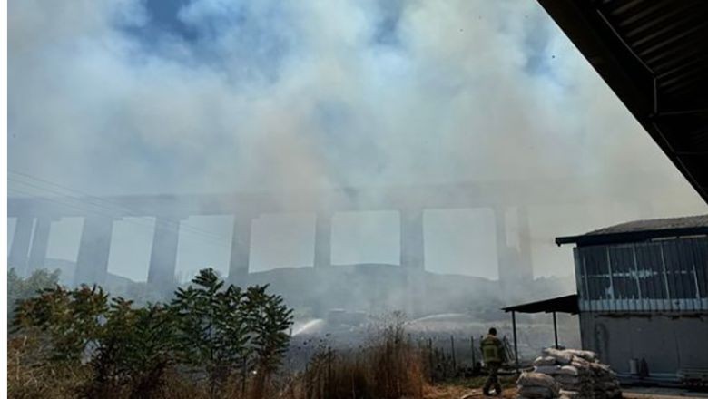 Balıkesir’de Büyükbaş Hayvan Çiftliğinde Yangın