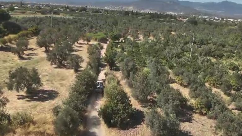Balıkesir'de Hırsızlık Girişimi Dronla Görüntülendi!