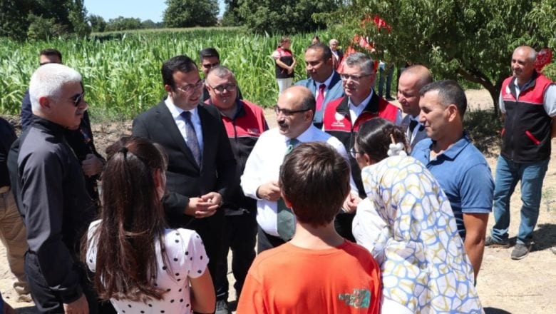 Kepsut'ta Şeftali Hasadı Başladı