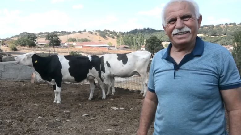 Bu Deyimlerin Kaynağı Balıkesir'den Geliyor!
