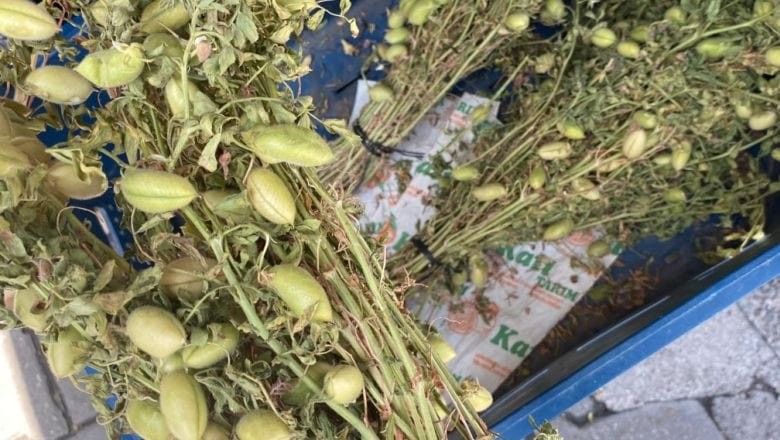 Balıkesir'de Sağlıklı Seçenek: Taze Nohut