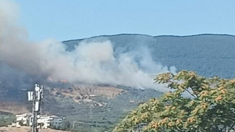 Balıkesir'de Orman Yangını Zeytinliklere Sıçradı