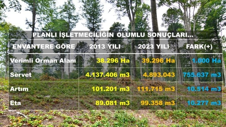 Balıkesir Ormanlarında Biyolojik Çeşitlilik Korunuyor