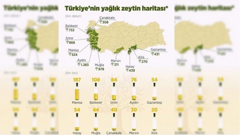 Harita Yayınlandı! Balıkesir O Sektörde Zirvede