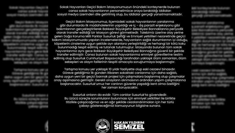 Susurluk’taki Sokak Hayvanları Krizine Başkan’dan Açıklama