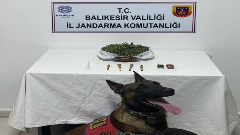 Balıkesir'de 4 Adrese Uyuşturucu Operasyonu!
