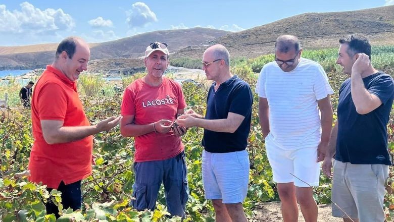Avşa’da Bereketli Hasat