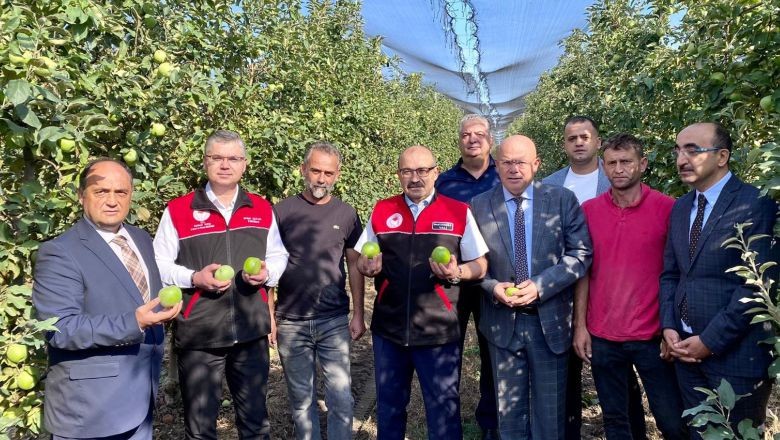 Yeşil Elmalar Susurluk’tan 7 Ülkeye Ulaşıyor