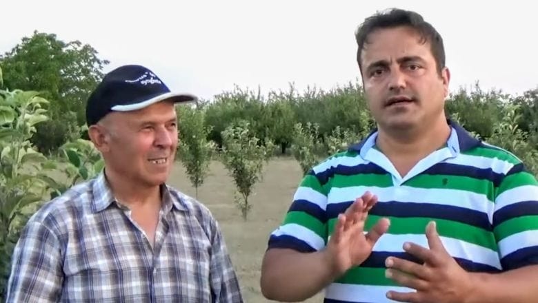Çiftçilerden Tavsiye: "Bu Ağaçları Şimdi Ekin"