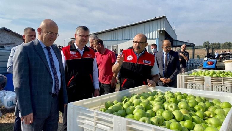 Yeşil Elmalar Susurluk’tan 7 Ülkeye Ulaşıyor