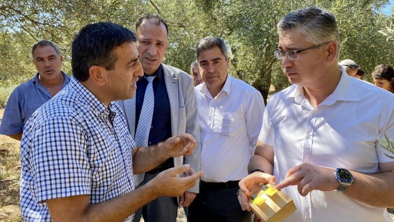 Balıkesir'de Zeytin Sineğine Hava Taarruzu!