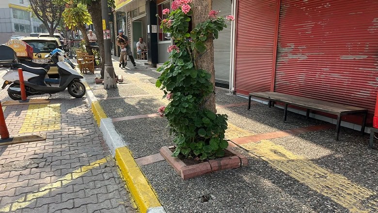 Bandırma’da Evsiz Adamın Şüpheli Ölümü Bandırma’da Evsiz Adamın Şüpheli Ölümü