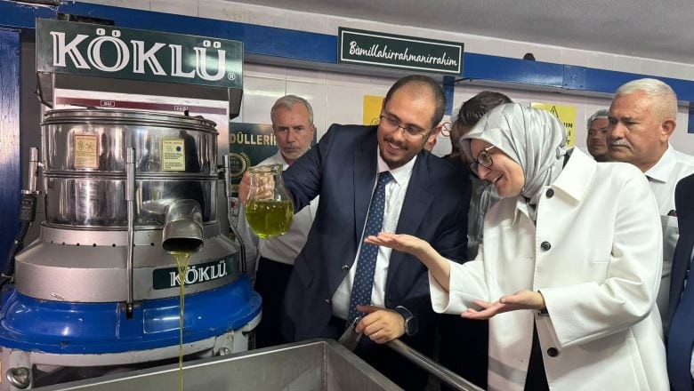 Vekil Uygur Yılın İlk Zeytin Hasadını Gerçekleştirdi