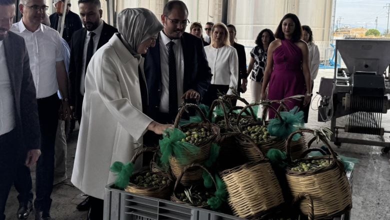 Vekil Uygur Yılın İlk Zeytin Hasadını Gerçekleştirdi