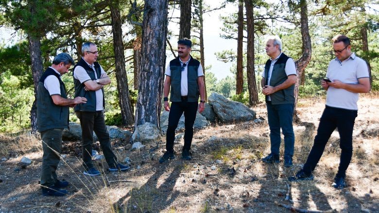 Bigadiç'in Ormanları İncelendi