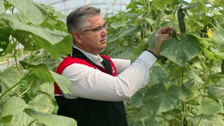 Balıkesir'de 212 Bin Fide Hasat Ediliyor