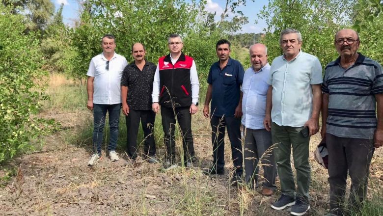 Balıkesir’de Hünnap Hasat Sezonu Başladı
