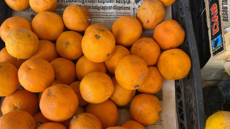 Balıkesir'de Mevsimin İlk Mandalinaları Çıktı