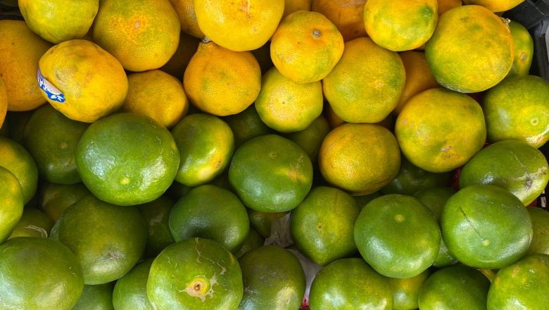 Balıkesir'de Mevsimin İlk Mandalinaları Çıktı