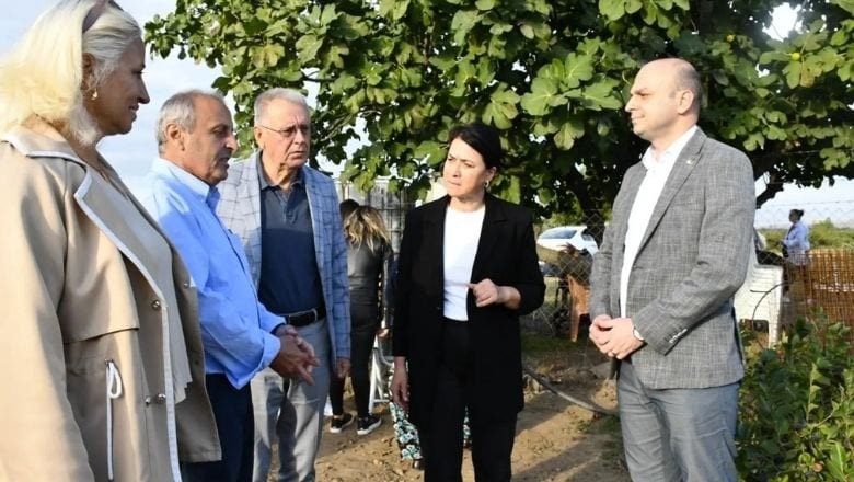 Gönen’de Aronya Hasadı Gerçekleşti