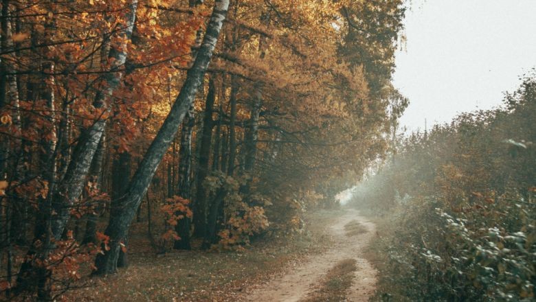 Balıkesir’in Doğası ve Sonbahar Burçları