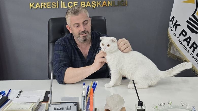 AK Parti Karesi Sokak Kedisine Yeni Yuva Oldu