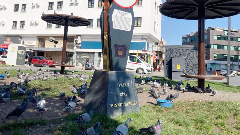 Güvercinlerin Mola Yeri Balıkesir