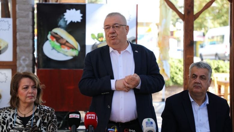 Edremit Sivrisineklere Teslim