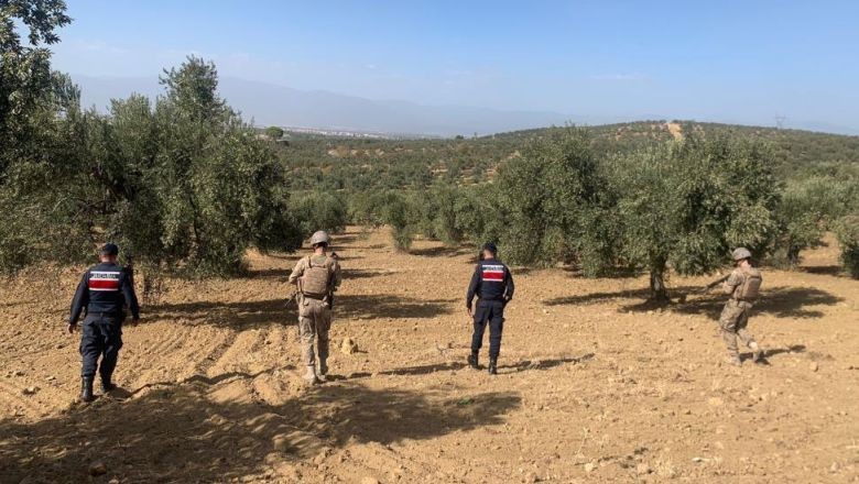 Jandarma Zeytinliklerde Devriye Geziyor