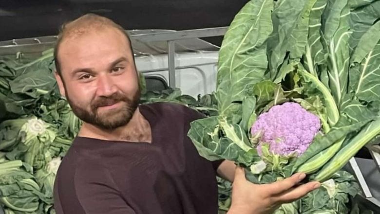 Bandırma Halinde Görülmeyen Renk