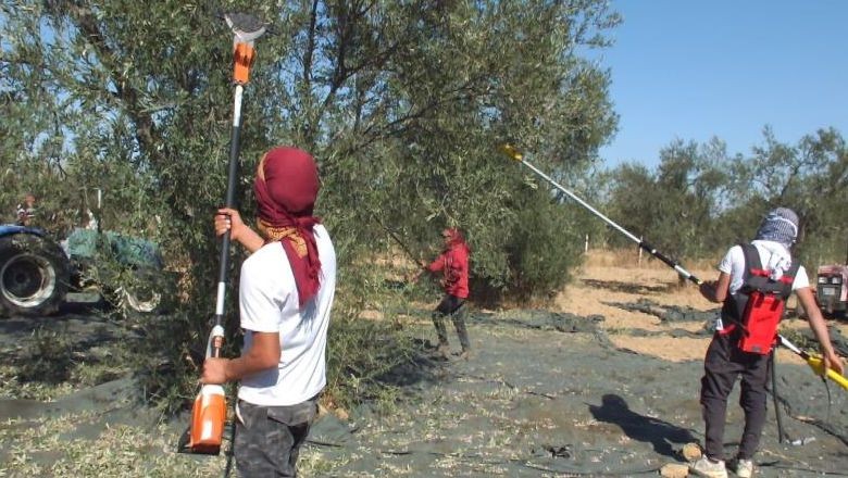 Burhaniye'ye Getirttiremedi Kendisi Üretti