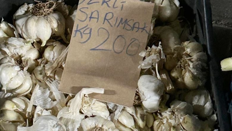 Balıkesir'de Sarımsak Fiyatına Bakılmadan Alınıyor