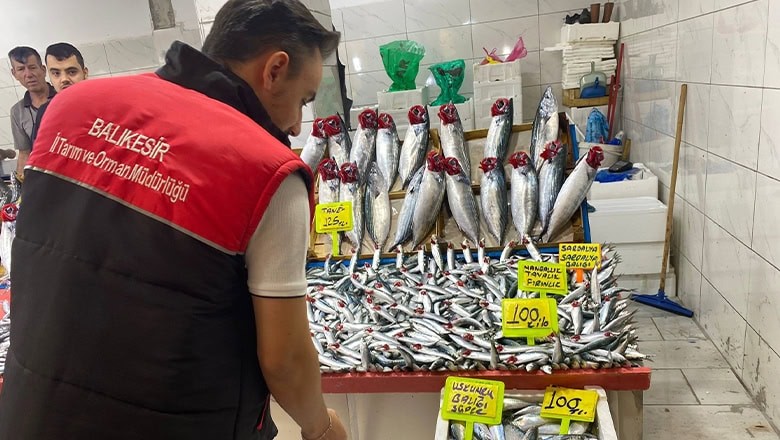 Balıkesir'de Su Ürünleri Denetimleri Sürüyor Balıkesir'de Su Ürünleri Denetimleri Sürüyor