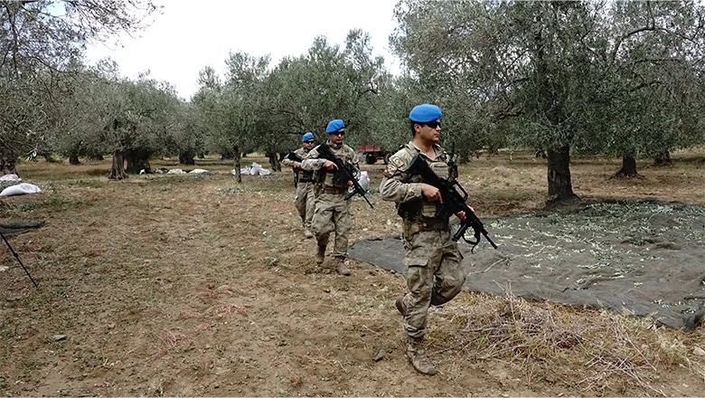 Balıkesir’de Zeytin Hasadında Güvenlik Tedbirleri Artırıldı Balıkesir’de Zeytin Hasadında Güvenlik Tedbirleri Artırıldı