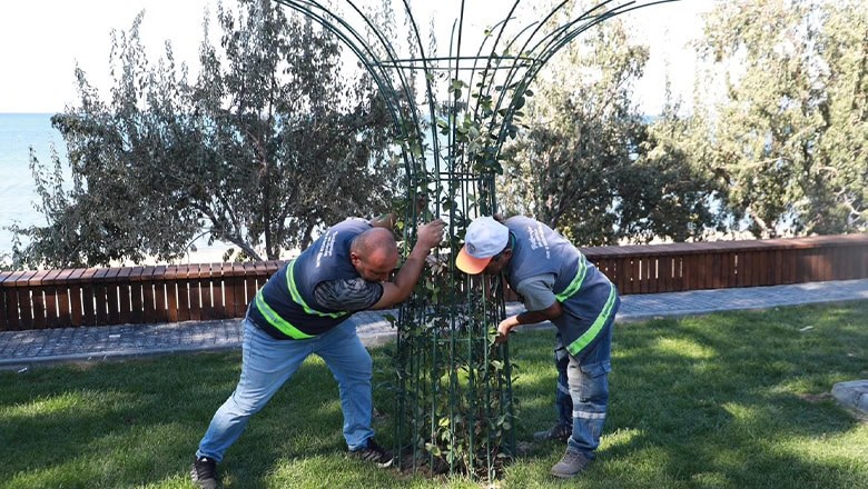 Burhaniye'de Yeşil Alanlara Bakım Çalışması Burhaniye'de Yeşil Alanlara Bakım Çalışması