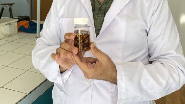 Yeni Akrep Türünü Keşfetti Eşinin Adını Verdi!