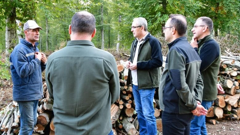 Balıkesir'de Dikili Satış Üretimleri İncelendi