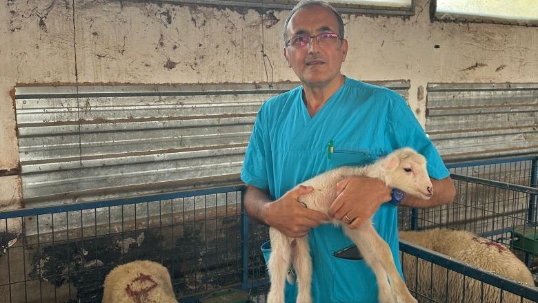 BAÜN’ün Kuzuları Doğmaya Başladı!