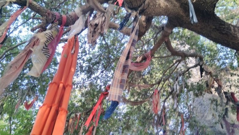 Balıkesir'de Çaput Bağlama Geleneği