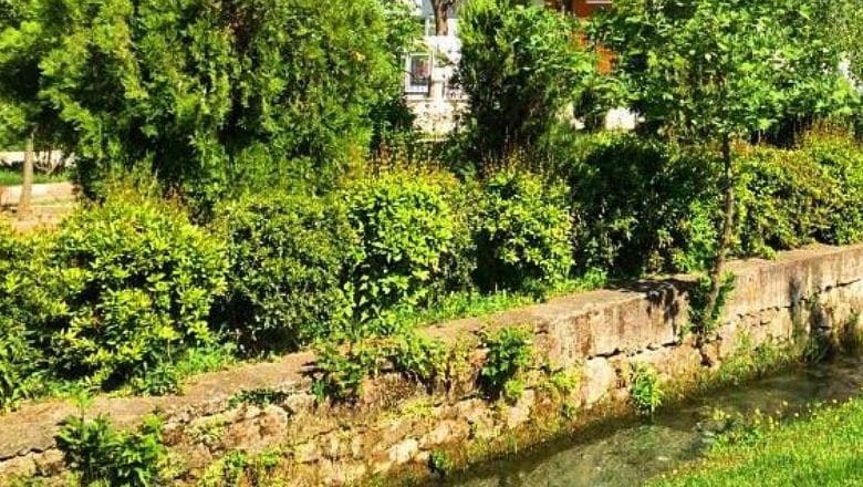 Dursunbey Saz Mesire Yeri’ni Keşfedin