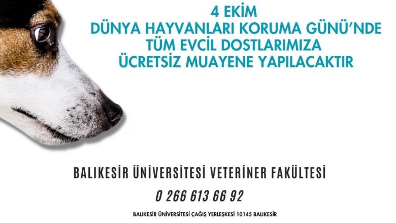 Balıkesir Üniversitesi’nden Patilere Özel Muayene