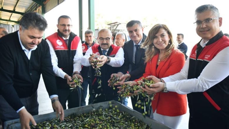 Havran'daki Zeytinler Lezzet Yolculuğundan Geçiyor
